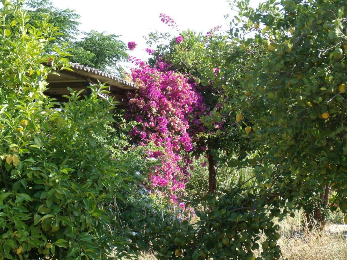 La Finca Blanca Alora Esterno foto