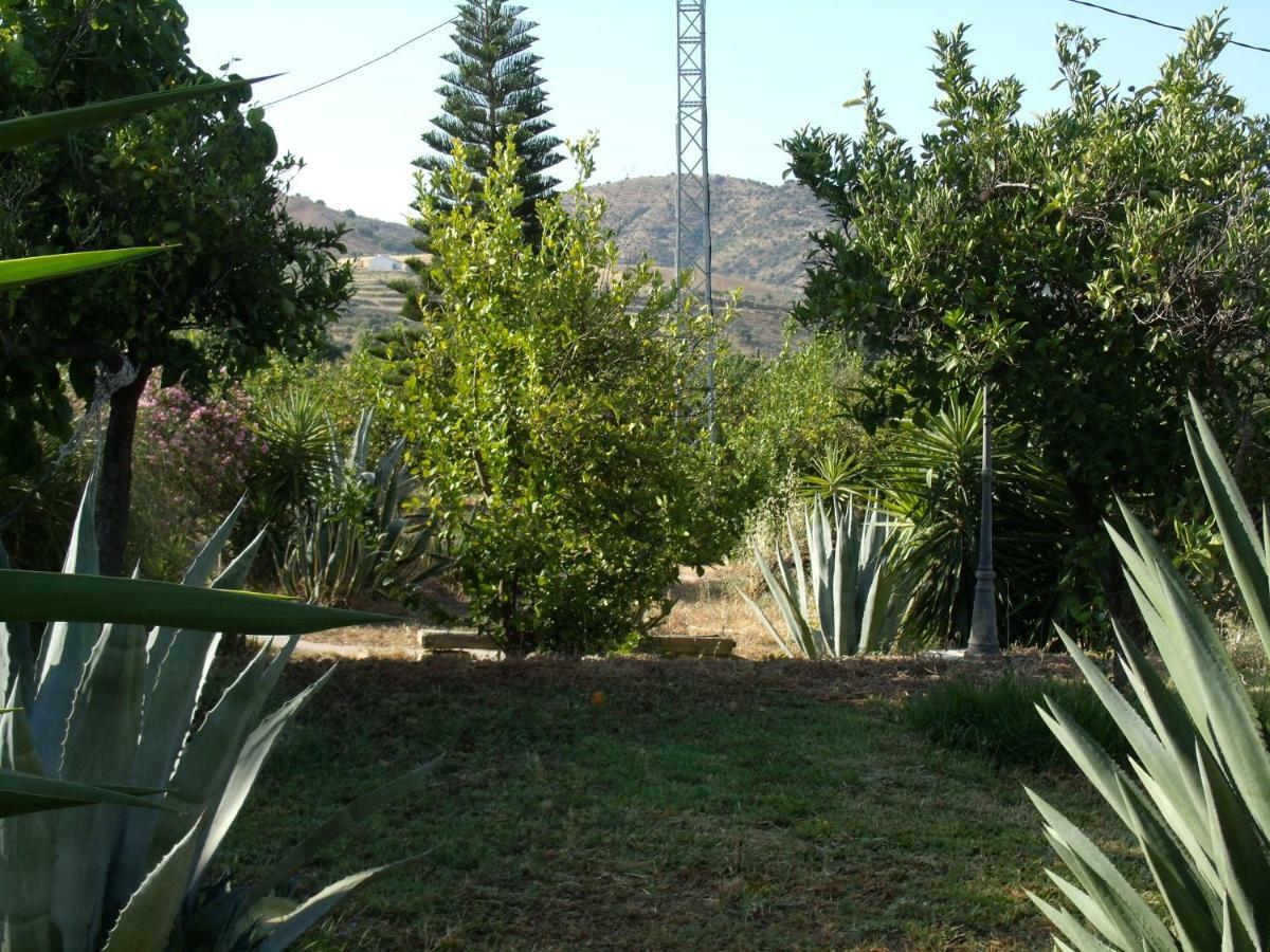 La Finca Blanca Alora Esterno foto