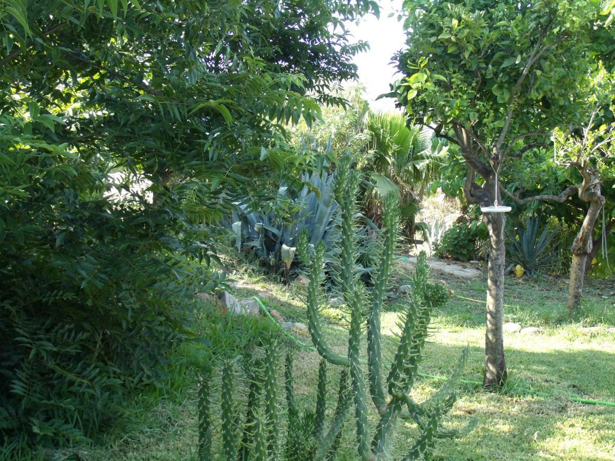 La Finca Blanca Alora Esterno foto